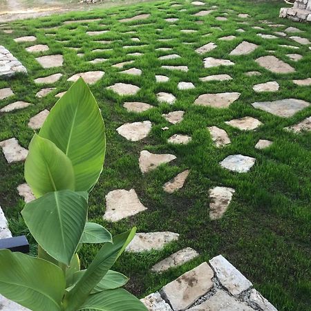 Green Silence - Vuk Podgorica Ngoại thất bức ảnh