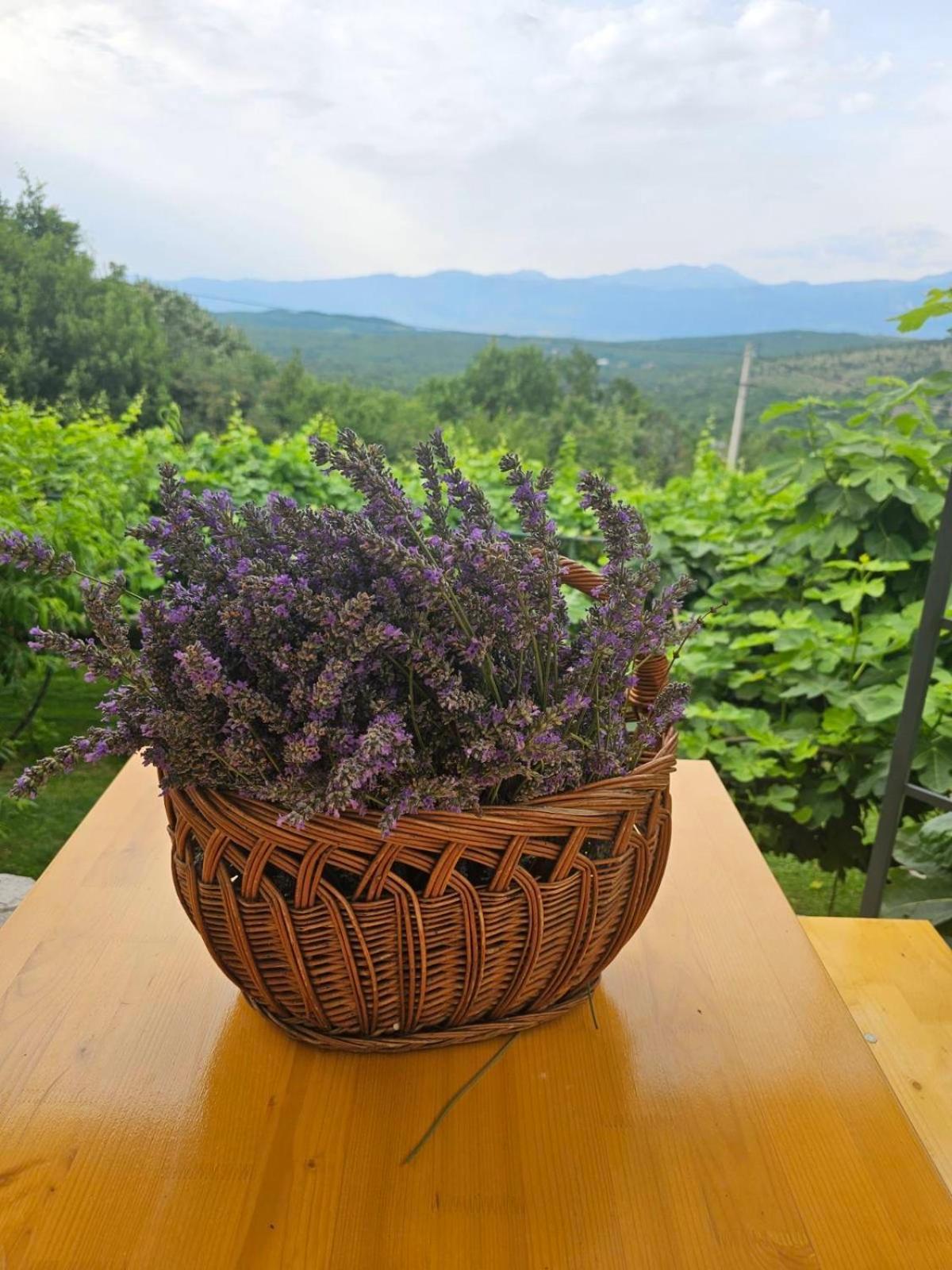 Green Silence - Vuk Podgorica Ngoại thất bức ảnh