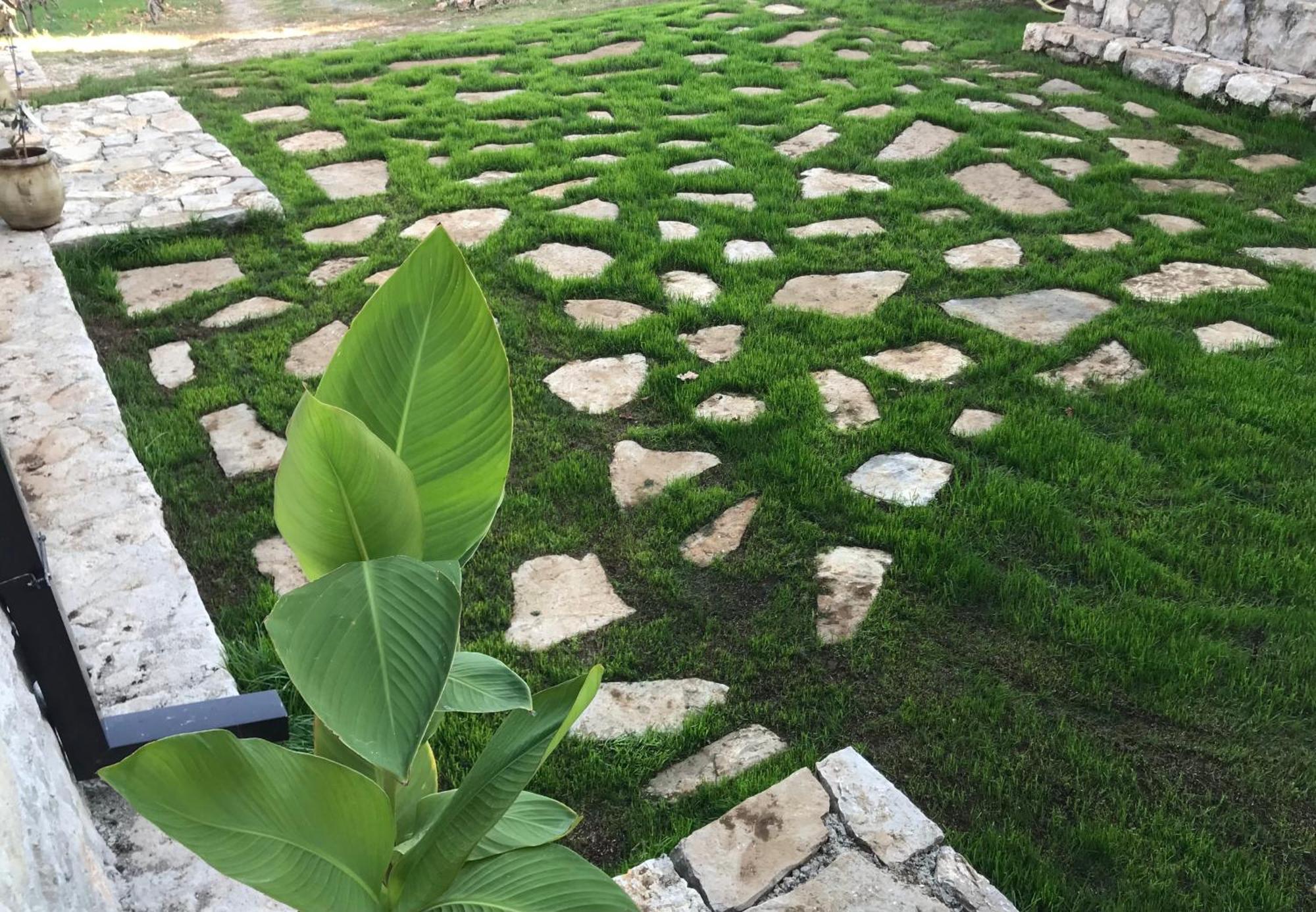 Green Silence - Vuk Podgorica Ngoại thất bức ảnh