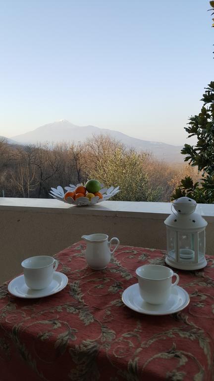 Green Silence - Vuk Podgorica Ngoại thất bức ảnh