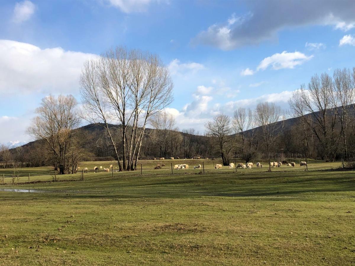 Green Silence - Vuk Podgorica Ngoại thất bức ảnh