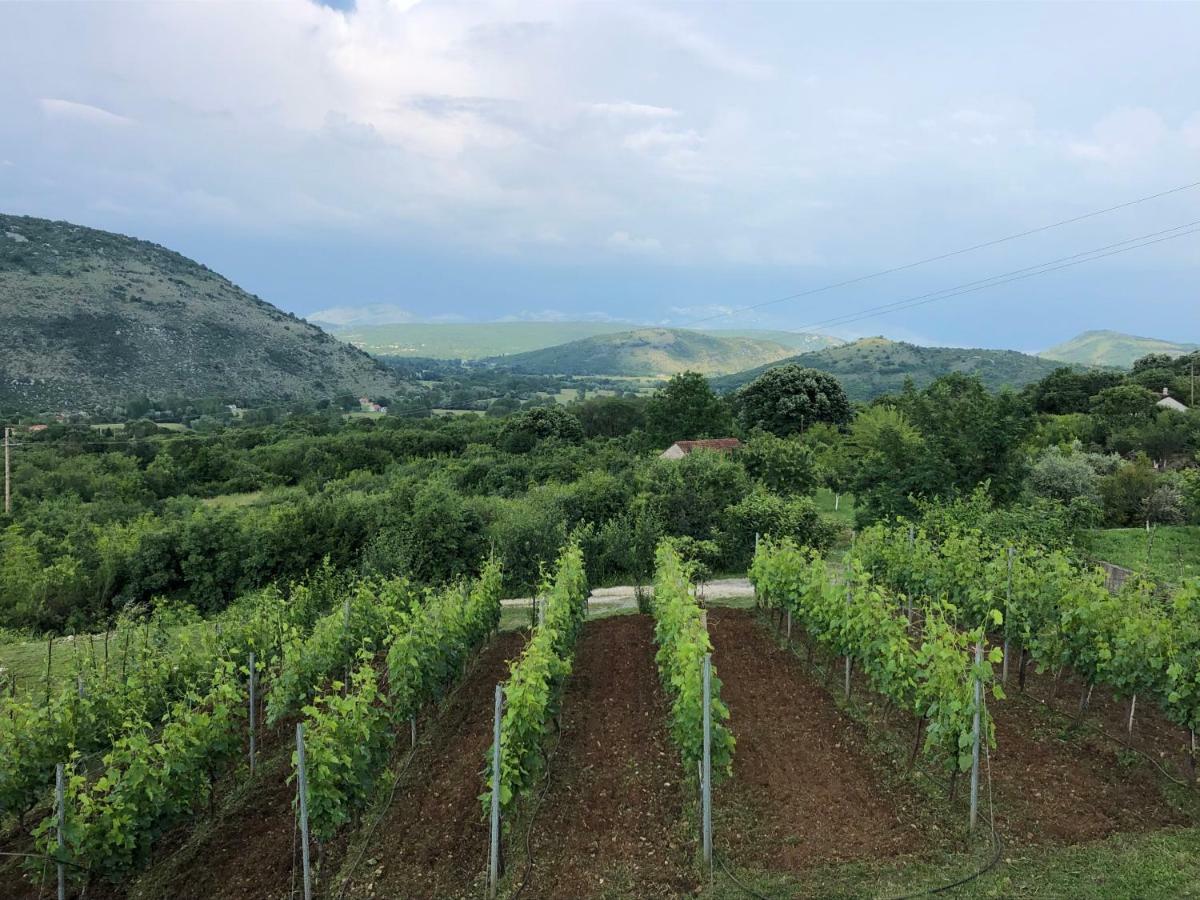 Green Silence - Vuk Podgorica Ngoại thất bức ảnh