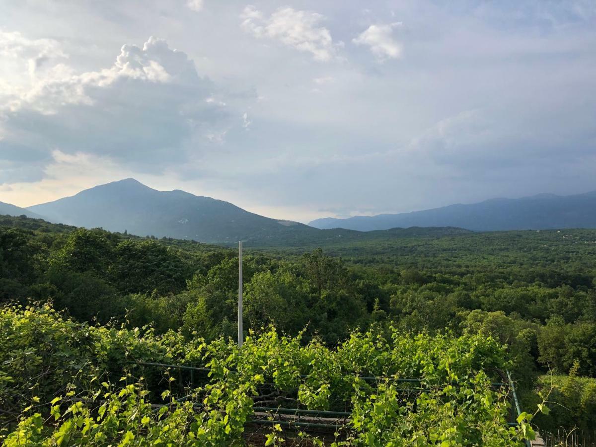 Green Silence - Vuk Podgorica Ngoại thất bức ảnh