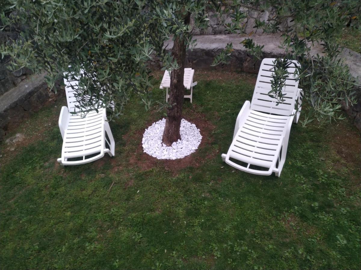 Green Silence - Vuk Podgorica Ngoại thất bức ảnh